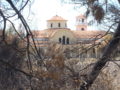 Οι Δασικές πυρκαγιές ξανά στην Επικαιρότητα!