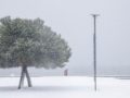 Στα λευκά η βόρεια Ελλάδα